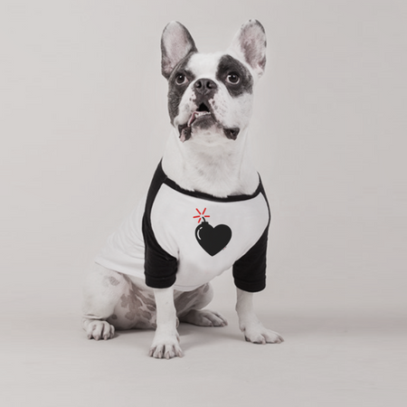 Categoria Pets da Eu Amo Eu Loja - Um movimento pelo Amor Próprio!